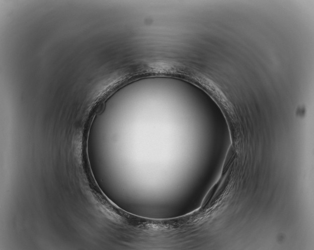 X0000100210442200806061349