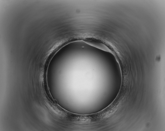 X0000100210443200806061349