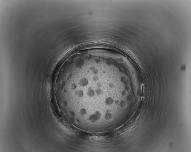 X0000100210444200806061349