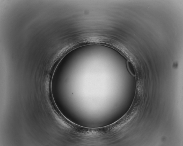 X0000100210445200806061349