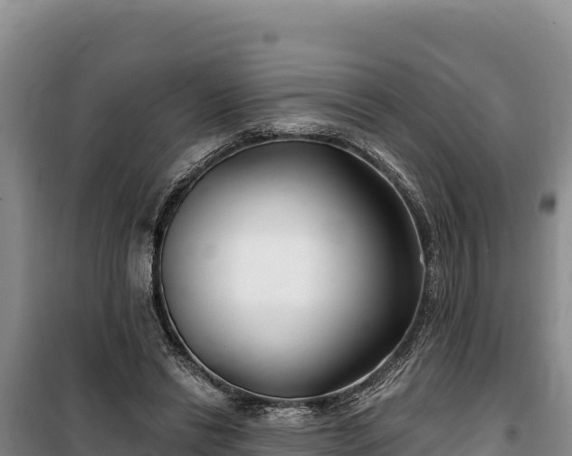 X0000100210446200806061349