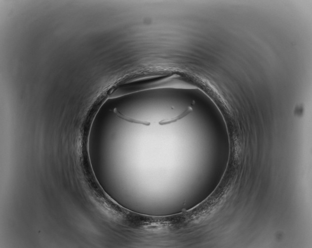 X0000100210447200806061349