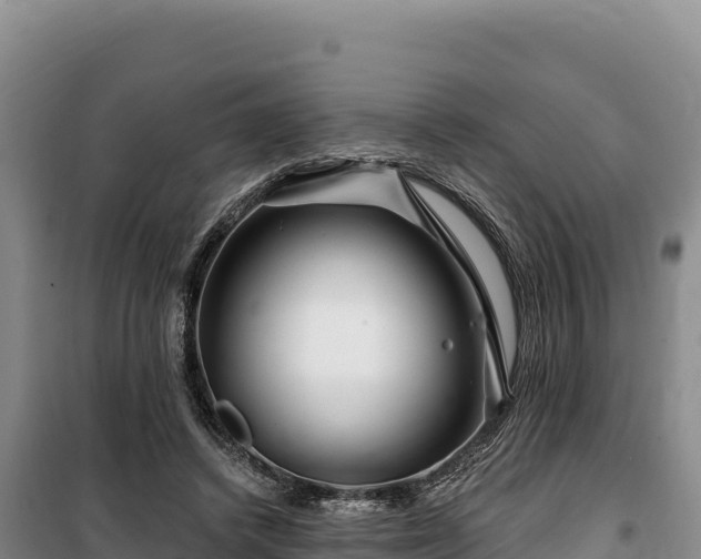 X0000100210448200806061350