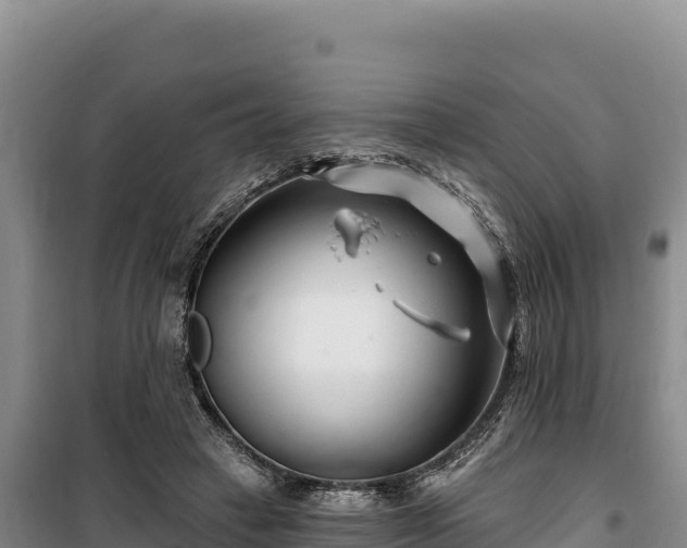 X0000100210449200806061350