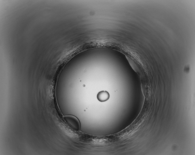 X0000100210450200806061350