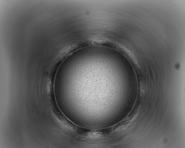 X0000100210451200806061350