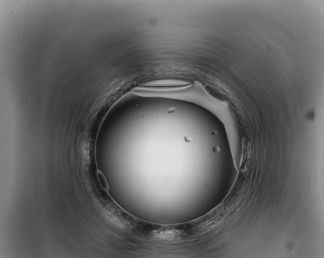 X0000100210452200806061350