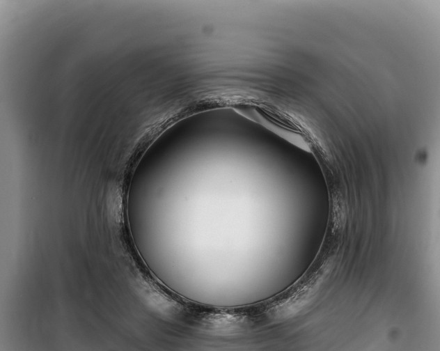 X0000100210453200806061350