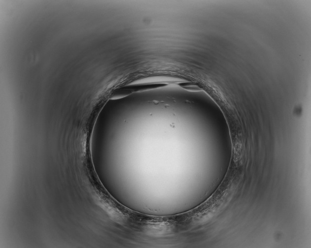 X0000100210454200806061350