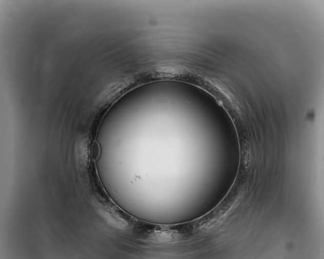 X0000100210455200806061350