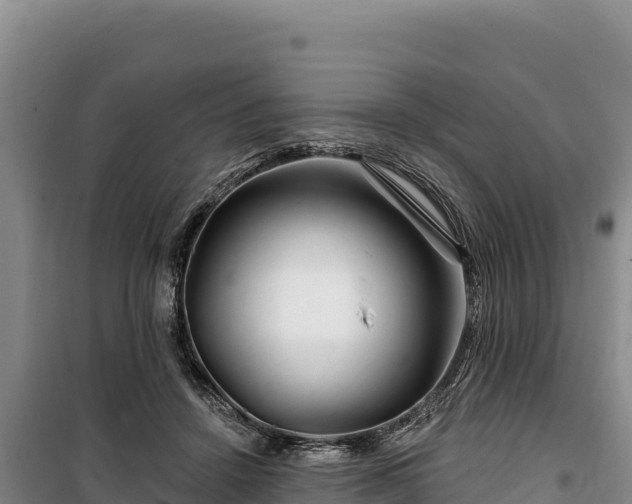 X0000100210456200806061350