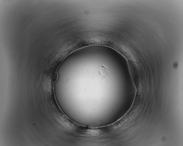 X0000100210457200806061350