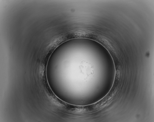 X0000100210458200806061350