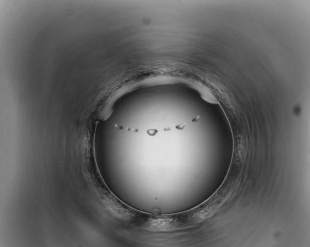 X0000100210461200806061350