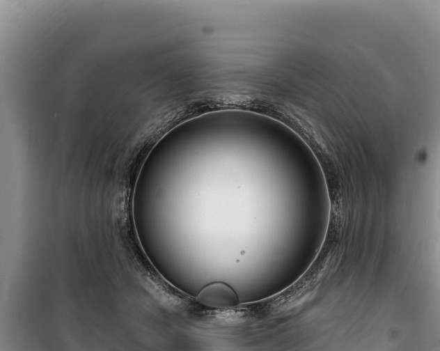 X0000100210462200806061350