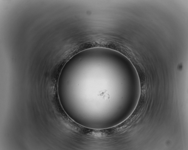 X0000100210464200806061350