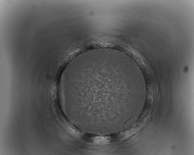 X0000100210465200806061350