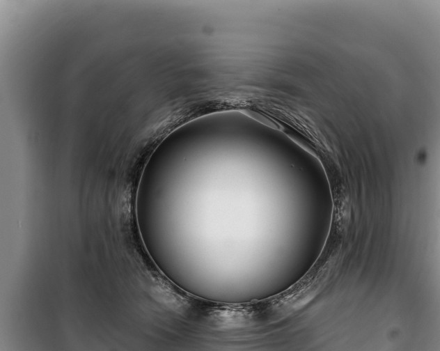 X0000100210466200806061350