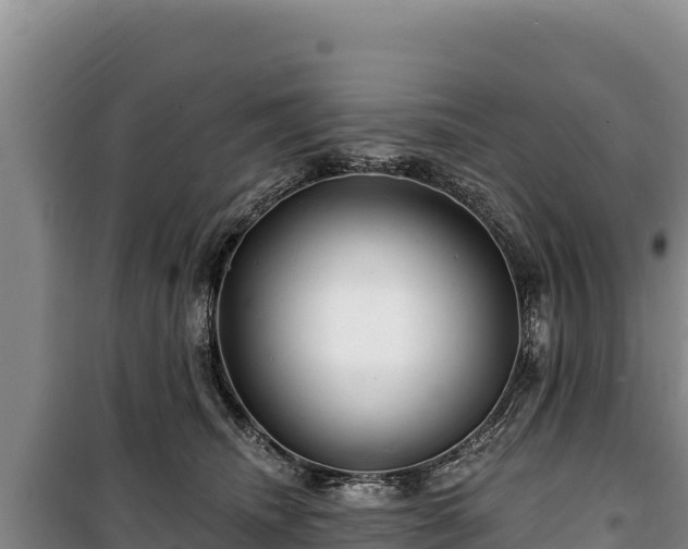 X0000100210468200806061350