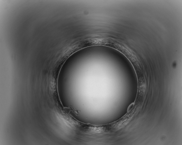 X0000100210469200806061350