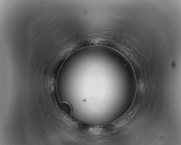 X0000100210470200806061350