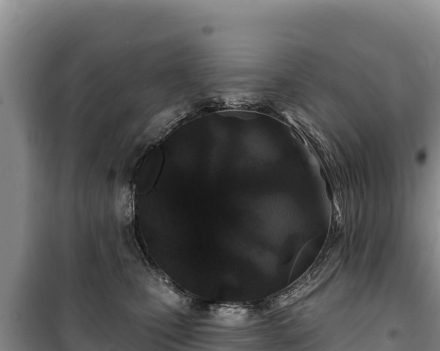 X0000100210471200806061350