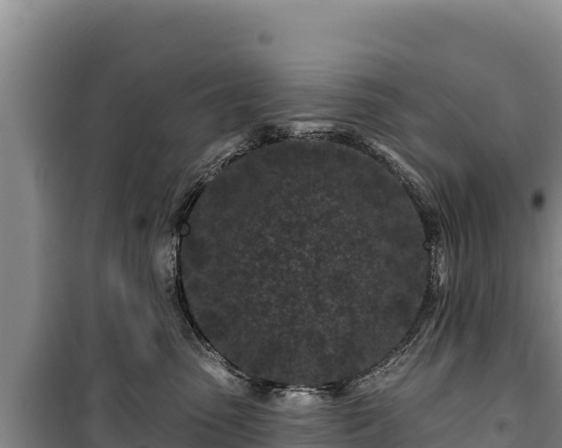 X0000100210475200806061350