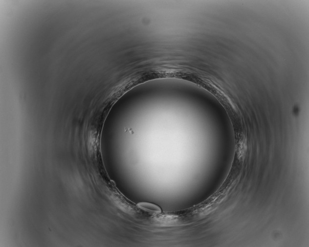 X0000100210476200806061350