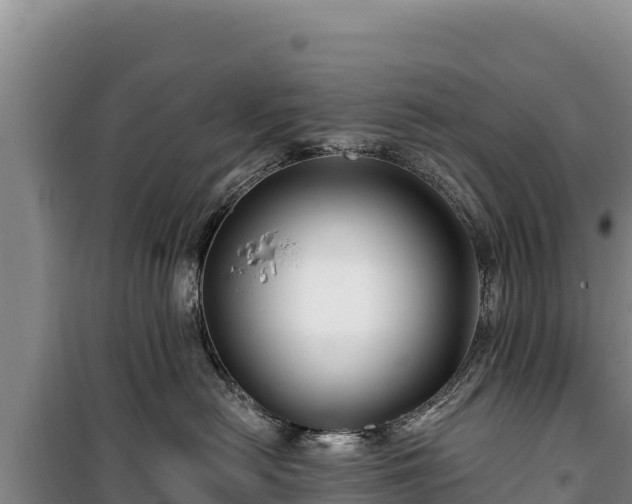 X0000100210478200806061350