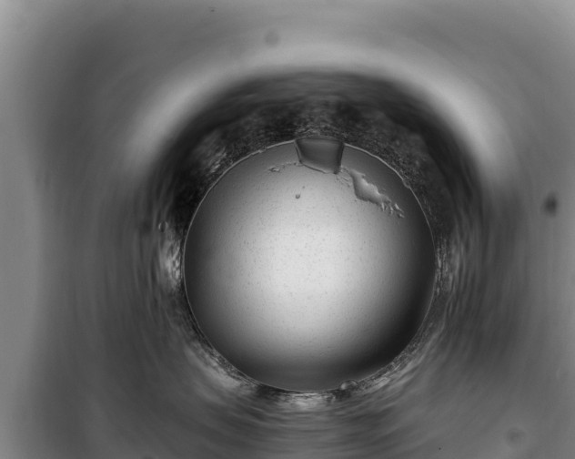 X0000100210479200806061350