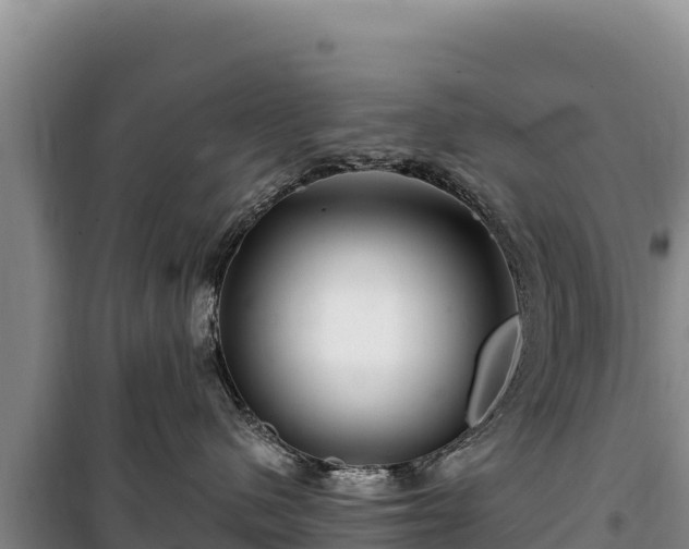 X0000100210480200806061350