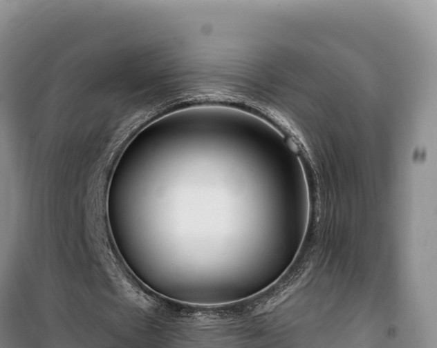 X0000100210481200806061349