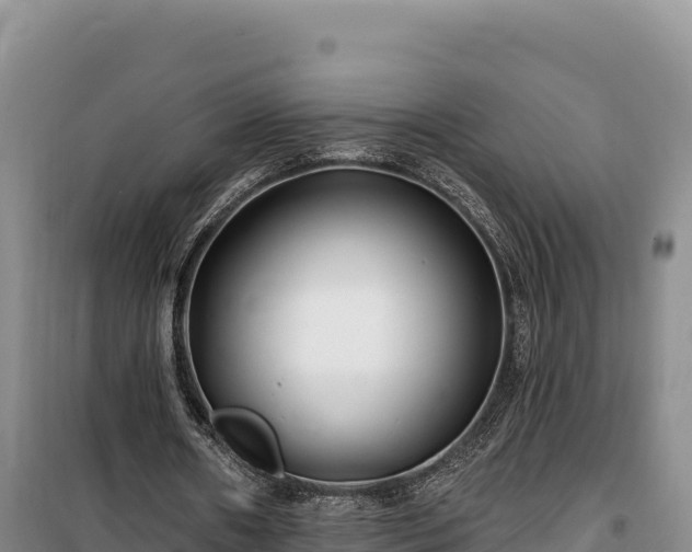 X0000100210482200806061349