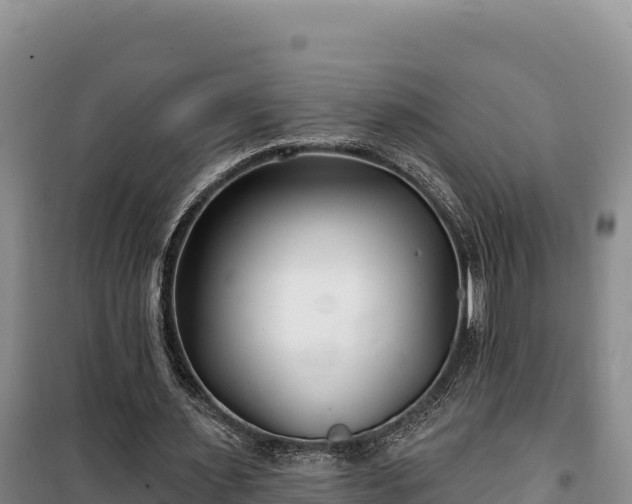 X0000100210483200806061349