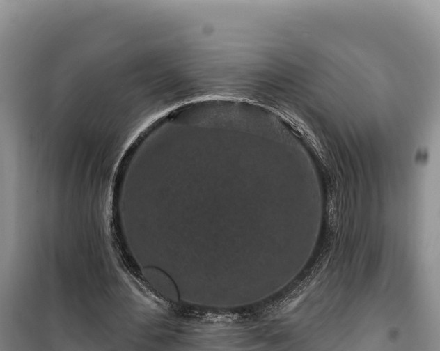 X0000100210484200806061349