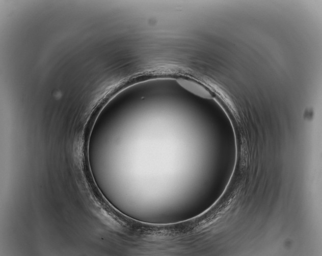 X0000100210485200806061349