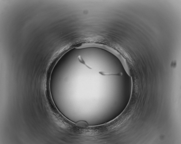 X0000100210486200806061349