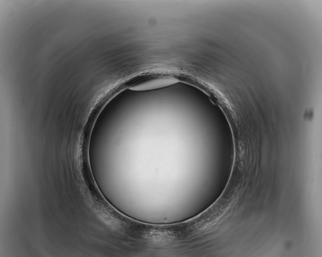 X0000100210487200806061349