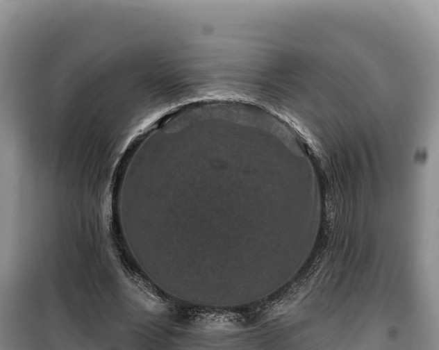 X0000100210488200806061349