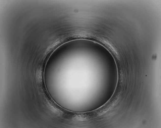 X0000100210489200806061349