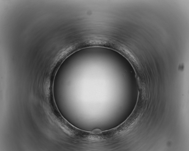 X0000100210490200806061349