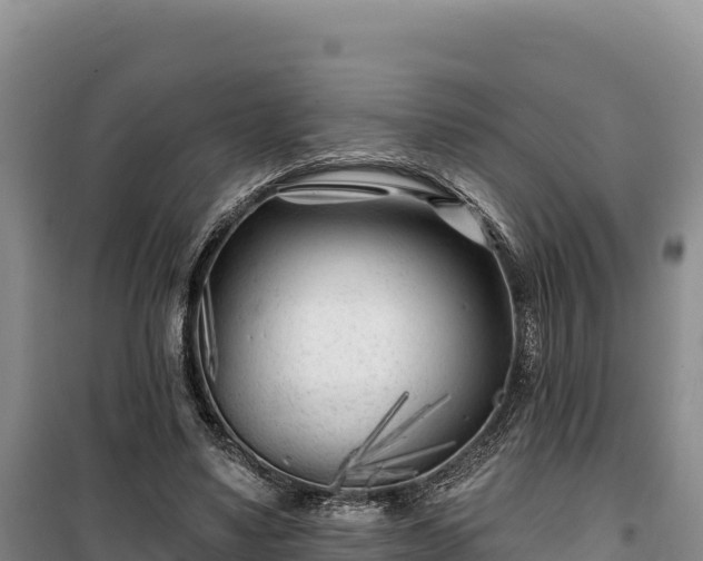 X0000100210491200806061349