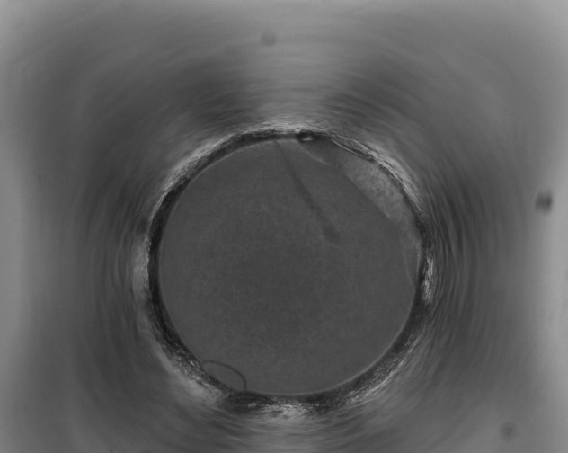 X0000100210492200806061349