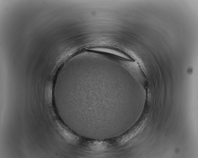 X0000100210493200806061349