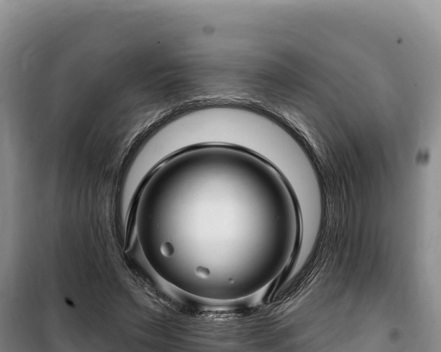 X0000100210495200806061349