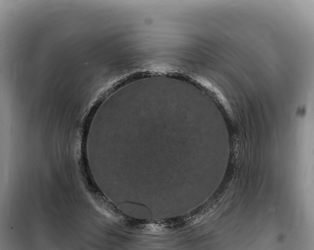 X0000100210496200806061349