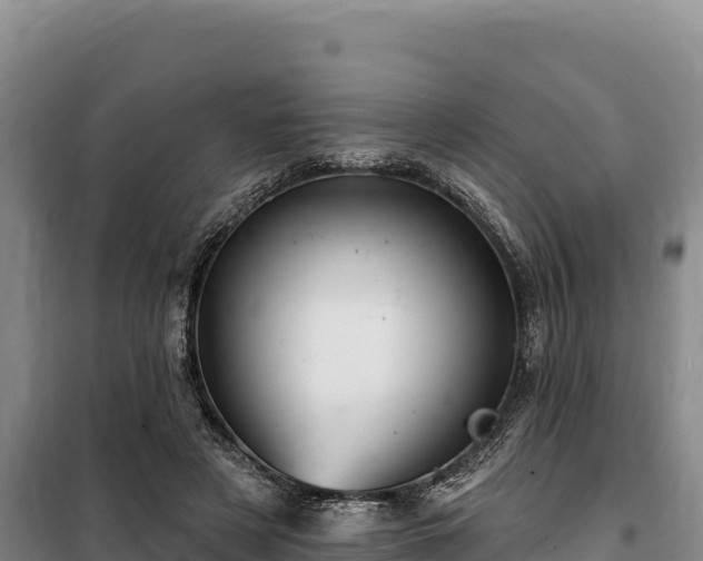 X0000100210497200806061349