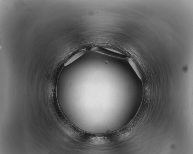 X0000100210499200806061349