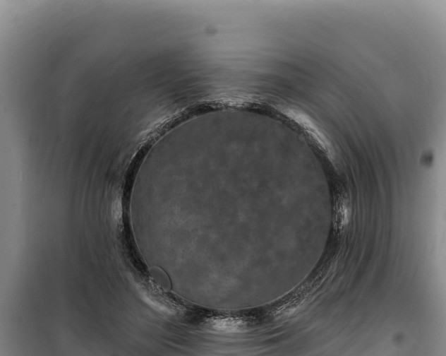 X0000100210500200806061349