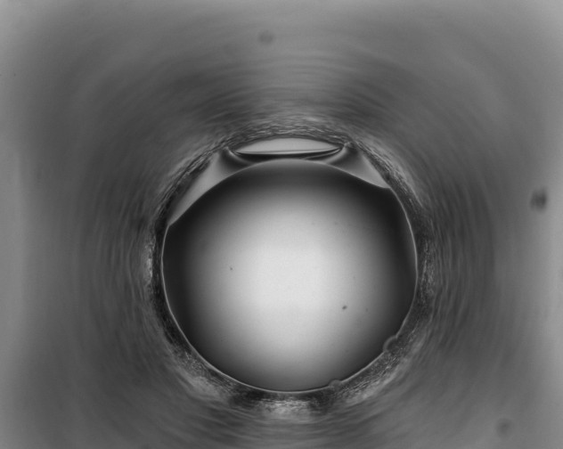 X0000100210501200806061349